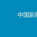 2017年中國新能源汽車行業(yè)年度報(bào)告
