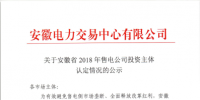 安徽新公示169家售電公司認(rèn)定的投資主體