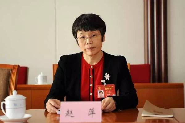 東方風(fēng)電趙萍：海上風(fēng)機(jī)大型化是趨勢，中國已落后一步