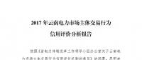 2017年云南電力市場主體交易行為信用評價(jià)分析報(bào)告
