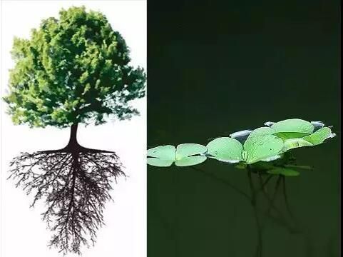 一起來認(rèn)識(shí)海上風(fēng)電安裝作業(yè)平臺(tái)