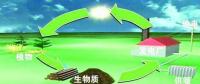 生物質(zhì)是替代核電、火電 彌補(bǔ)天然氣缺口的一種重要新能源