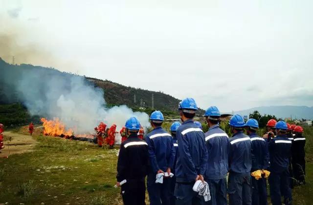 聽(tīng)說(shuō)最近輸電線路和鐵塔“火”啦！