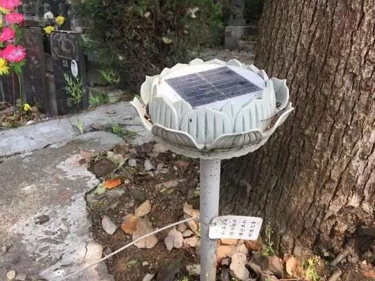 墓地傳來哭聲 周圍卻沒有人影 清明節(jié)你被光伏嚇著了嗎？