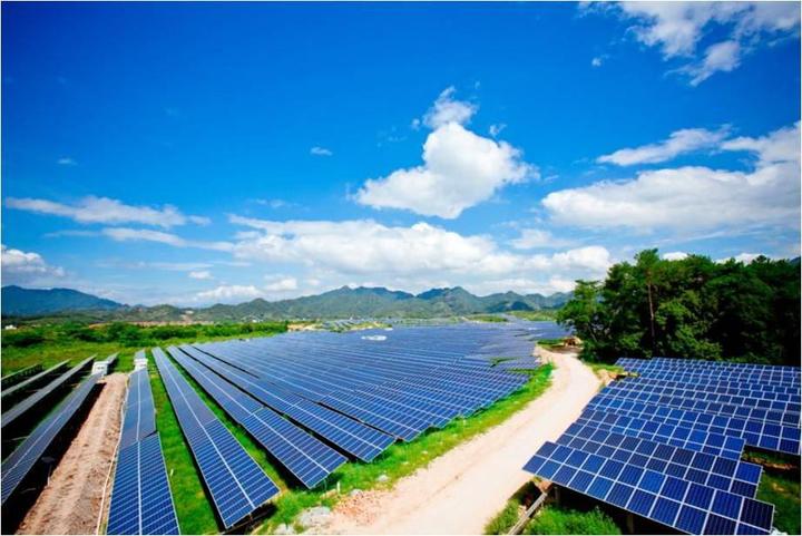 新增裝機回暖 風(fēng)電開發(fā)加速“上山下海”