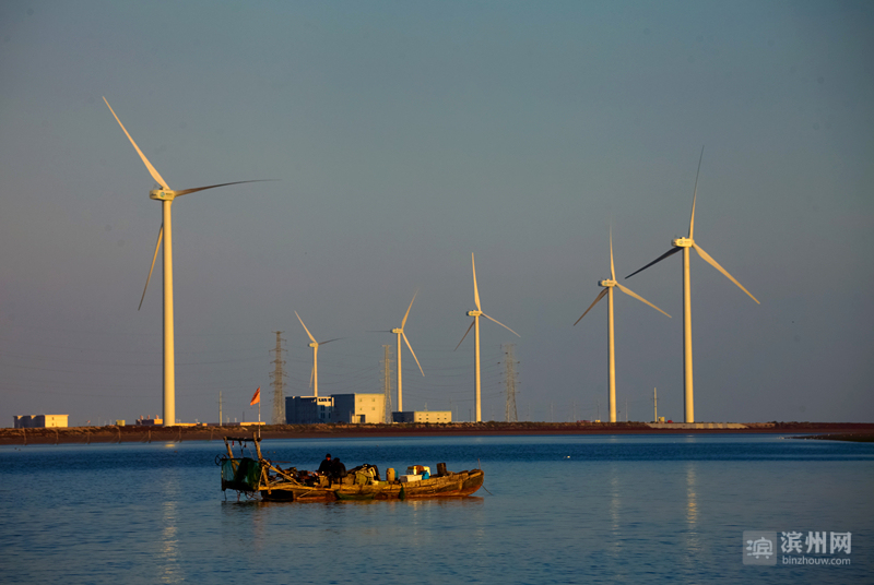 強冷空氣帶來強勁風能！4月6日濱州風電發(fā)電量占濱州電網(wǎng)總量33%