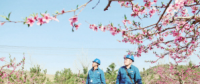 世界一流能源互聯(lián)網(wǎng)企業(yè)怎么建？國(guó)網(wǎng)已簽訂39個(gè)增量配電試點(diǎn)項(xiàng)目合作意向書