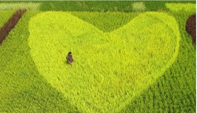 互聯(lián)網(wǎng)給農(nóng)民農(nóng)業(yè)帶來了什么？本文告訴你！