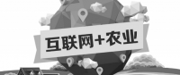 A5創(chuàng)業(yè)項(xiàng)目推薦：互聯(lián)網(wǎng)+農(nóng)業(yè)能碰撞出怎樣的新發(fā)展？