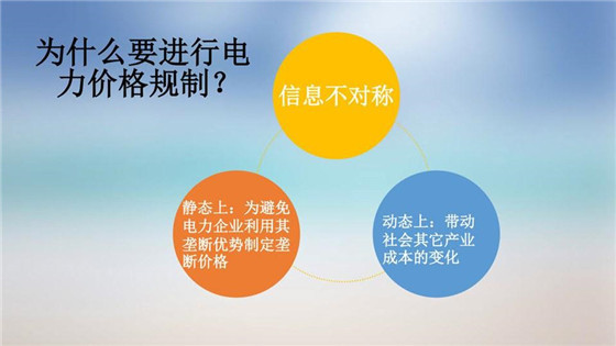 我國(guó)電力價(jià)格規(guī)制現(xiàn)狀、存在的問(wèn)題及原因分析