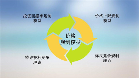 我國(guó)電力價(jià)格規(guī)制現(xiàn)狀、存在的問(wèn)題及原因分析