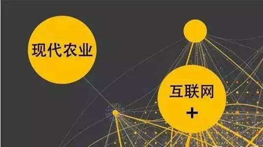 顛覆！裂變！賦能！互聯(lián)網(wǎng)+農(nóng)業(yè)領(lǐng)域的“豬飛起來了”