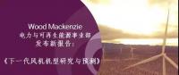 12-15MW+！歐洲“零補(bǔ)貼”海上風(fēng)場(chǎng)項(xiàng)目開(kāi)發(fā)主要選型