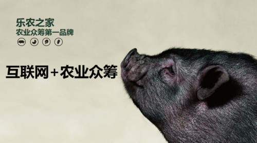互聯(lián)網(wǎng)+農(nóng)業(yè)眾籌只賺吆喝 利潤全被用戶拿走了？