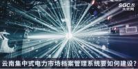 云南集中式電力市場(chǎng)檔案管理系統(tǒng)要如何建設(shè)?