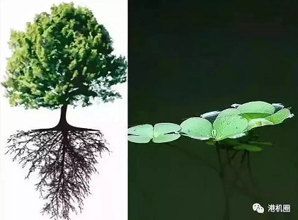 插樁式、坐底式 詳解海上風(fēng)電安裝平臺的作業(yè)方式