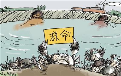 上游污水“毒死”萬畝大閘蟹，誰擔(dān)其責(zé)？