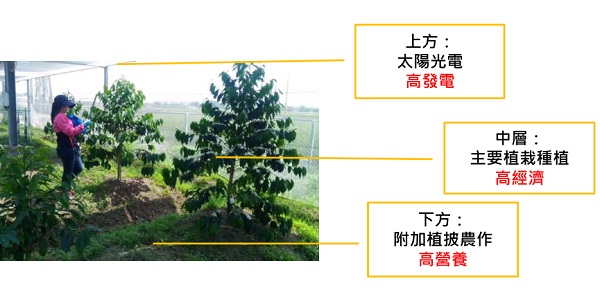 后補貼時代 “架高、一地多用”助力光伏平價上網(wǎng)