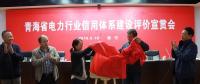 青海電力行業(yè)信用體系建設(shè)正式起步 電力信用評價(jià)中心揭牌成立