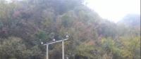 湖北整治關(guān)停100多座小水電站 , 其中宜昌48座、神農(nóng)架林區(qū)21座、恩施20座