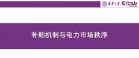 陳啟鑫：補(bǔ)貼機(jī)制與電力市場秩序