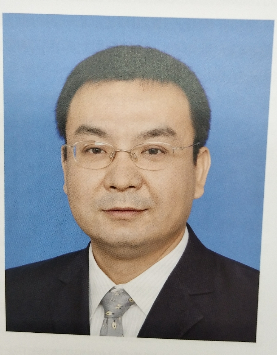 系統(tǒng)靈活性:電力發(fā)展大趨勢——訪電力規(guī)劃設計總院規(guī)劃研究部副主任韓小琪