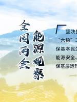 讀圖｜2020政府工作報告中這些內(nèi)容，和能源電力有關(guān)！