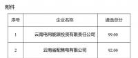 2025年云南電力市場(chǎng)保底售電公司候選名單公示！